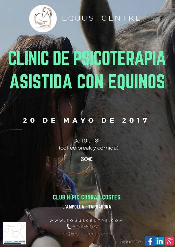 Clinic de Psicoterapia Asistida con Equinos