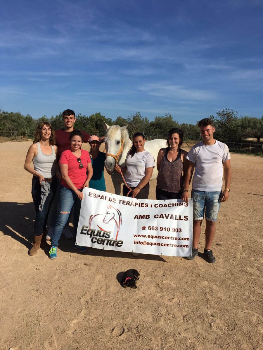 bullying terapia caballos