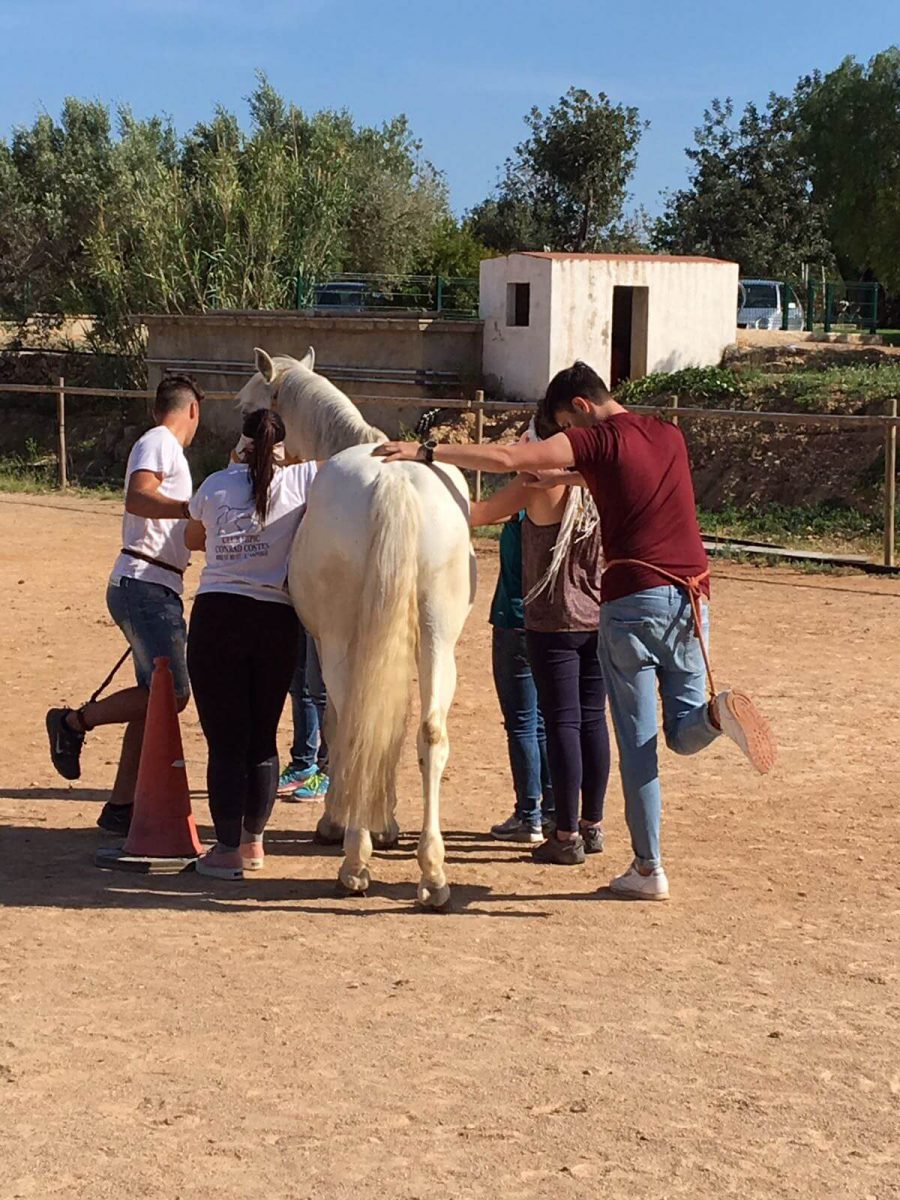 bullying terapia caballos